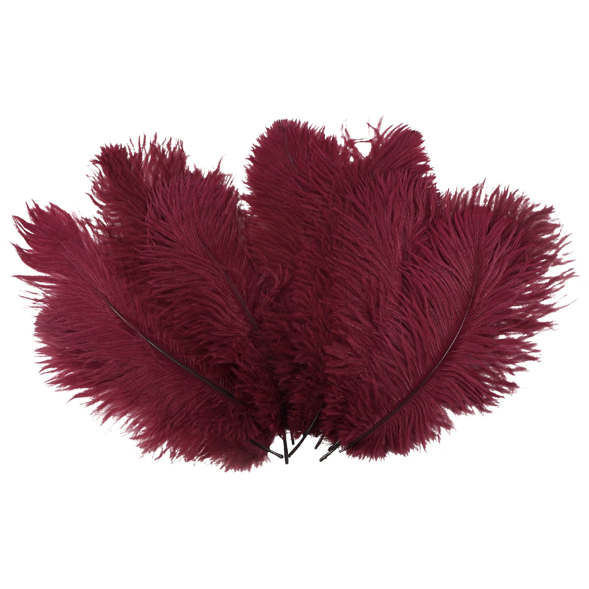 Ostrich Feathers 9-12’’ Drabs - Burgundy - 12 pieces - Ostrich Feathers