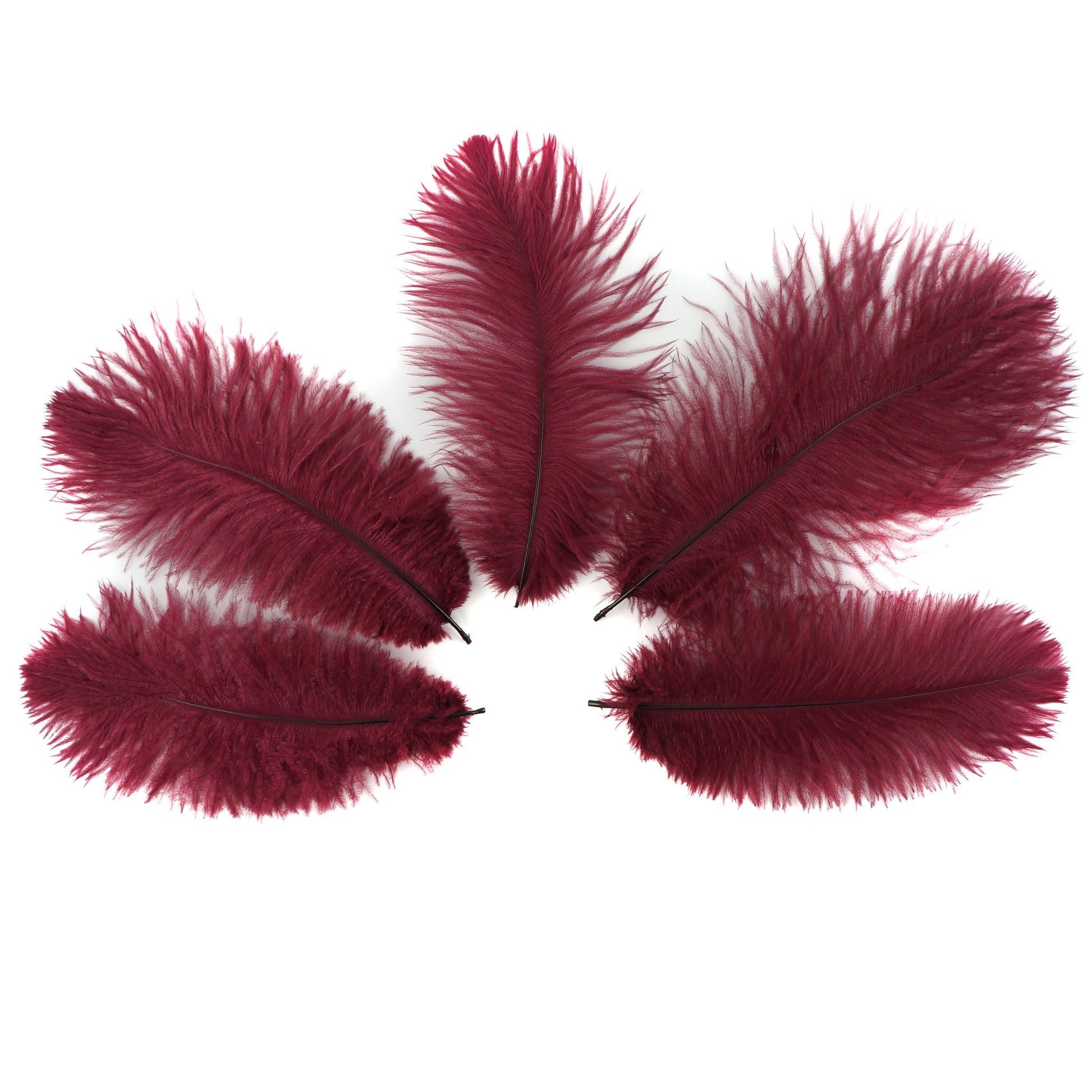 Ostrich Feathers 9-12’’ Drabs - Burgundy - Ostrich Feathers