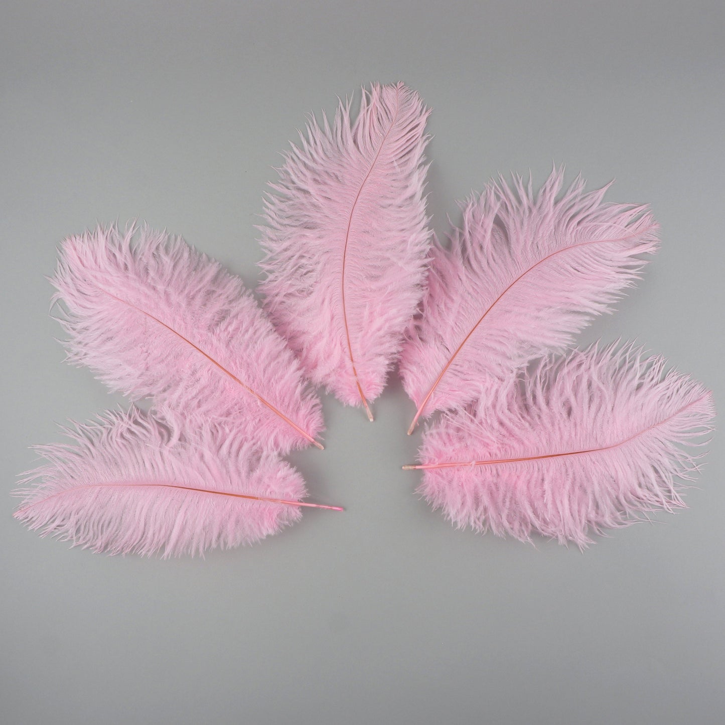 Ostrich Feathers 9-12’’ Drabs - Candy Pink - 12 pieces - Ostrich Feathers