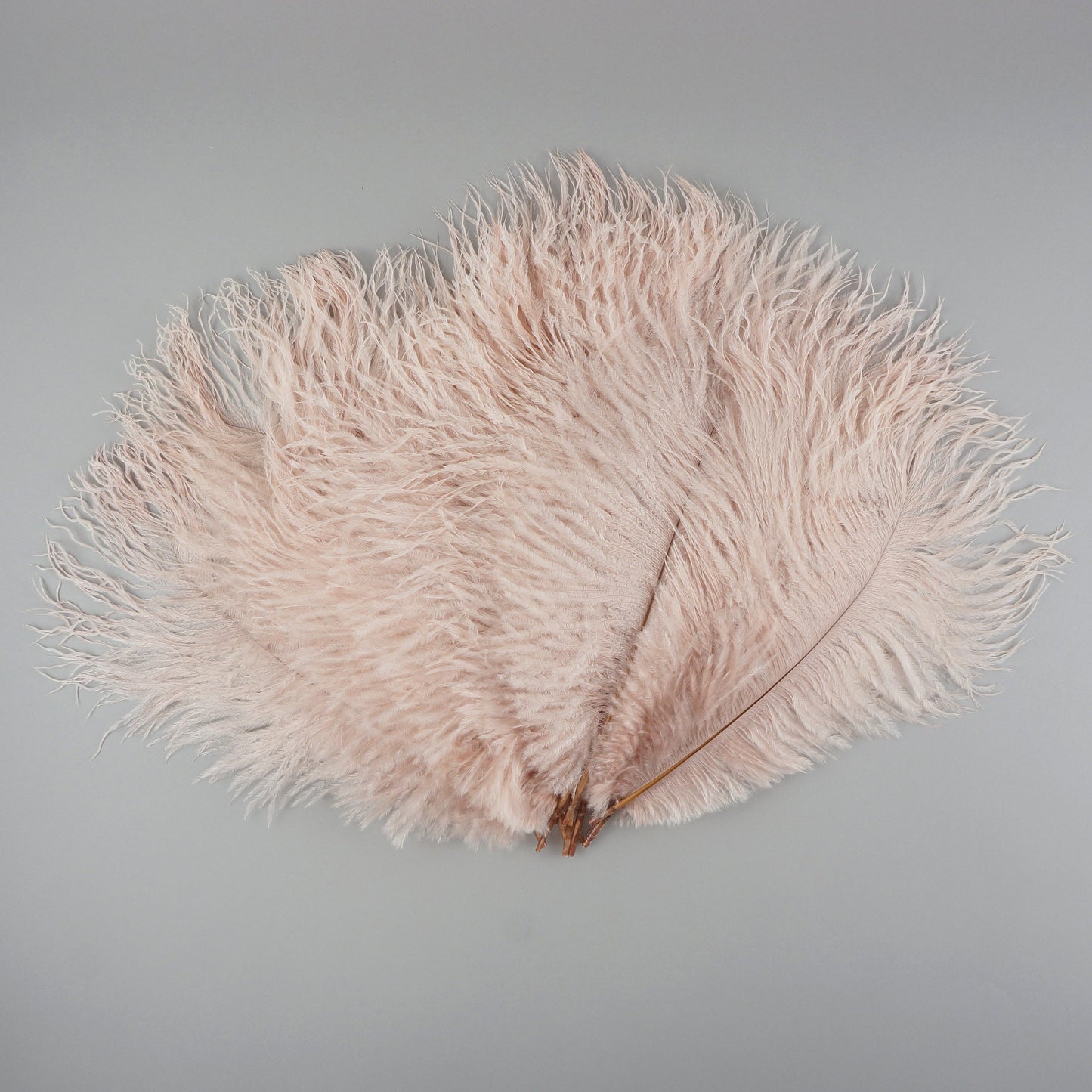 Ostrich Feathers 9-12’’ Drabs - Champagne - 1/4 lb. bulk - Ostrich Feathers