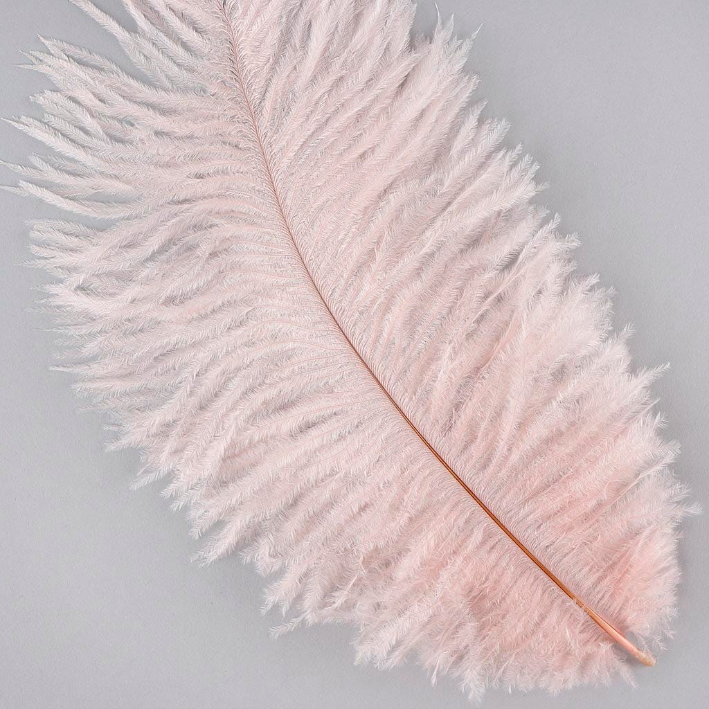 Ostrich Feathers 9-12’’ Drabs - Champagne - 1 piece - Ostrich Feathers