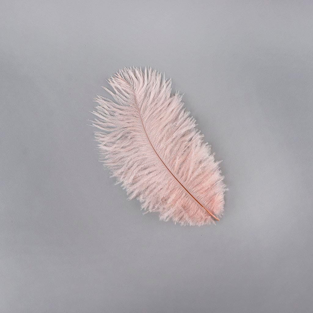 Ostrich Feathers 9-12’’ Drabs - Champagne - Ostrich Feathers