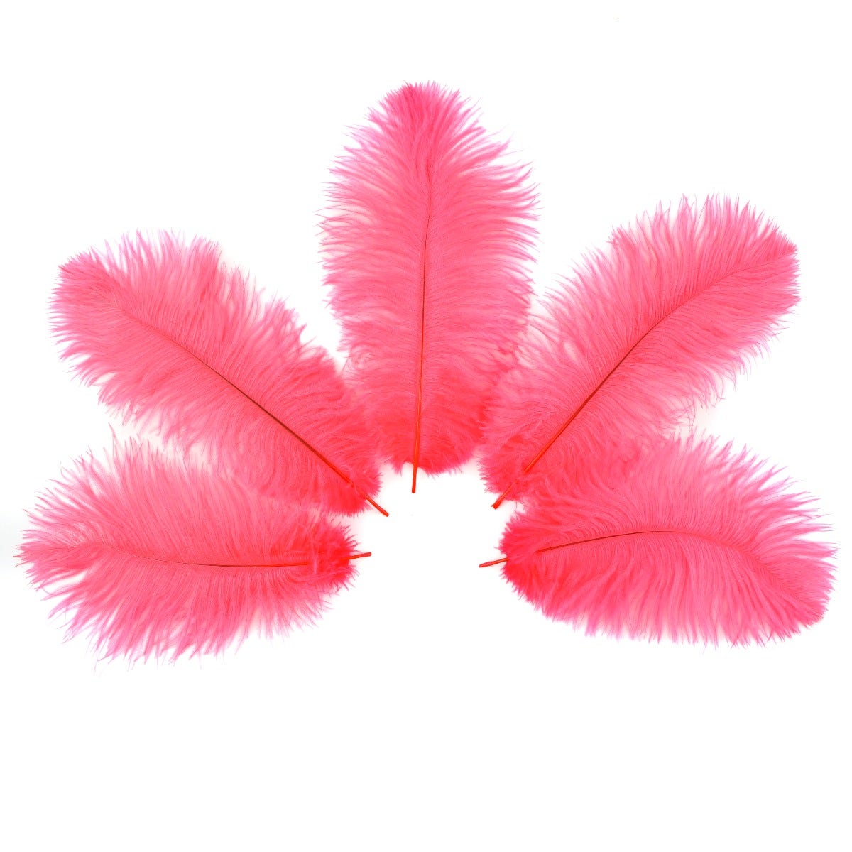 Ostrich Feathers 9-12’’ Drabs - Coral - 12 pieces - Ostrich Feathers