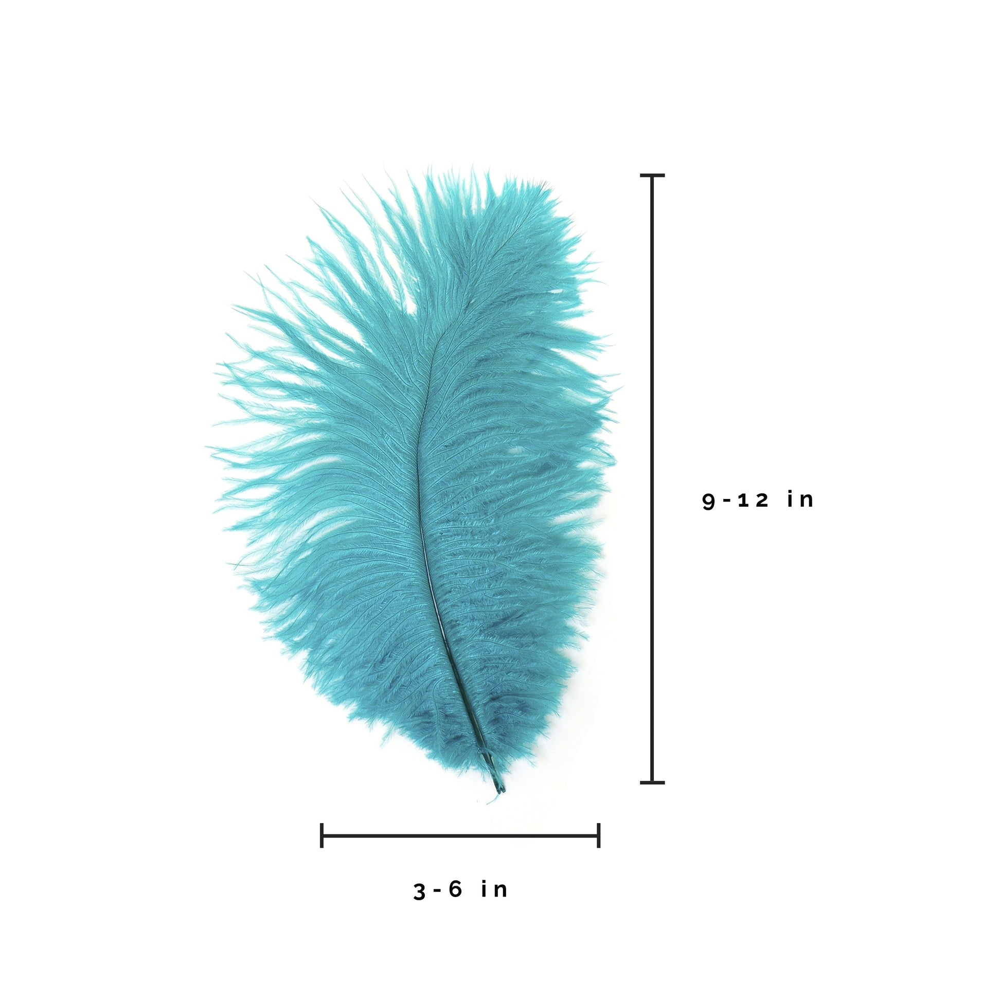 Ostrich Feathers 9-12’’ Drabs - Dark Aqua - Ostrich Feathers