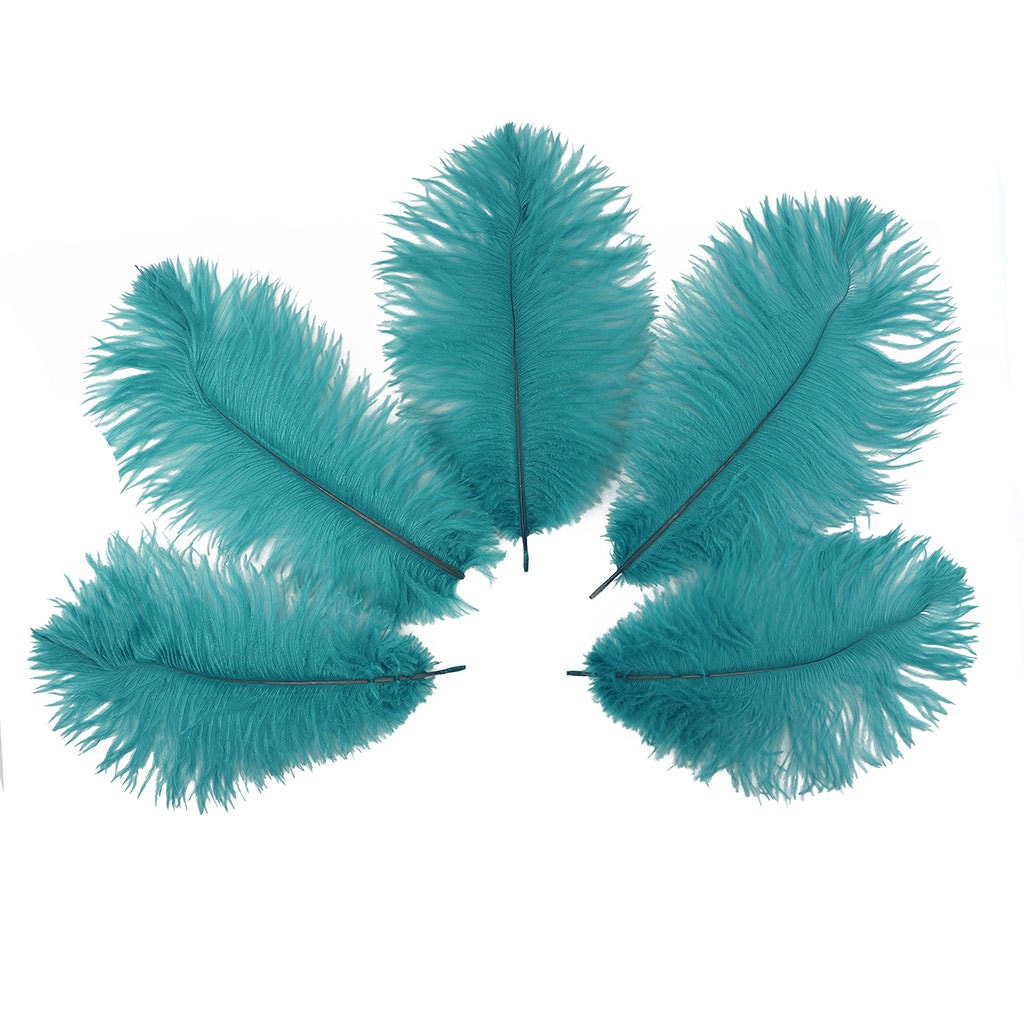 Ostrich Feathers 9-12’’ Drabs - Dark Aqua - Ostrich Feathers