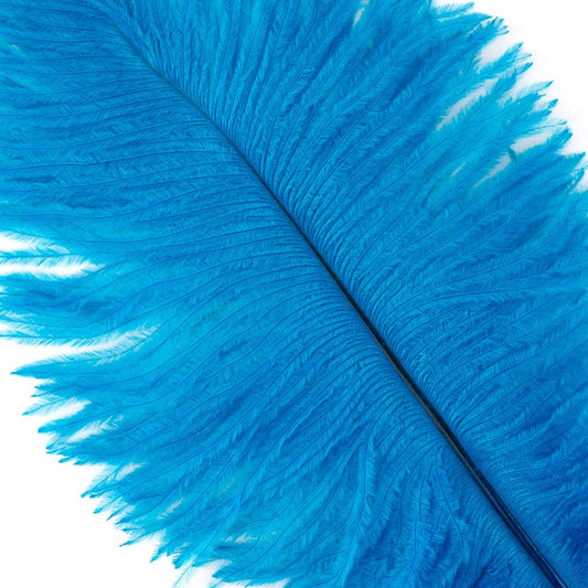 Ostrich Feathers 9-12’’ Drabs - Dark Turquoise - 1 piece - Ostrich Feathers