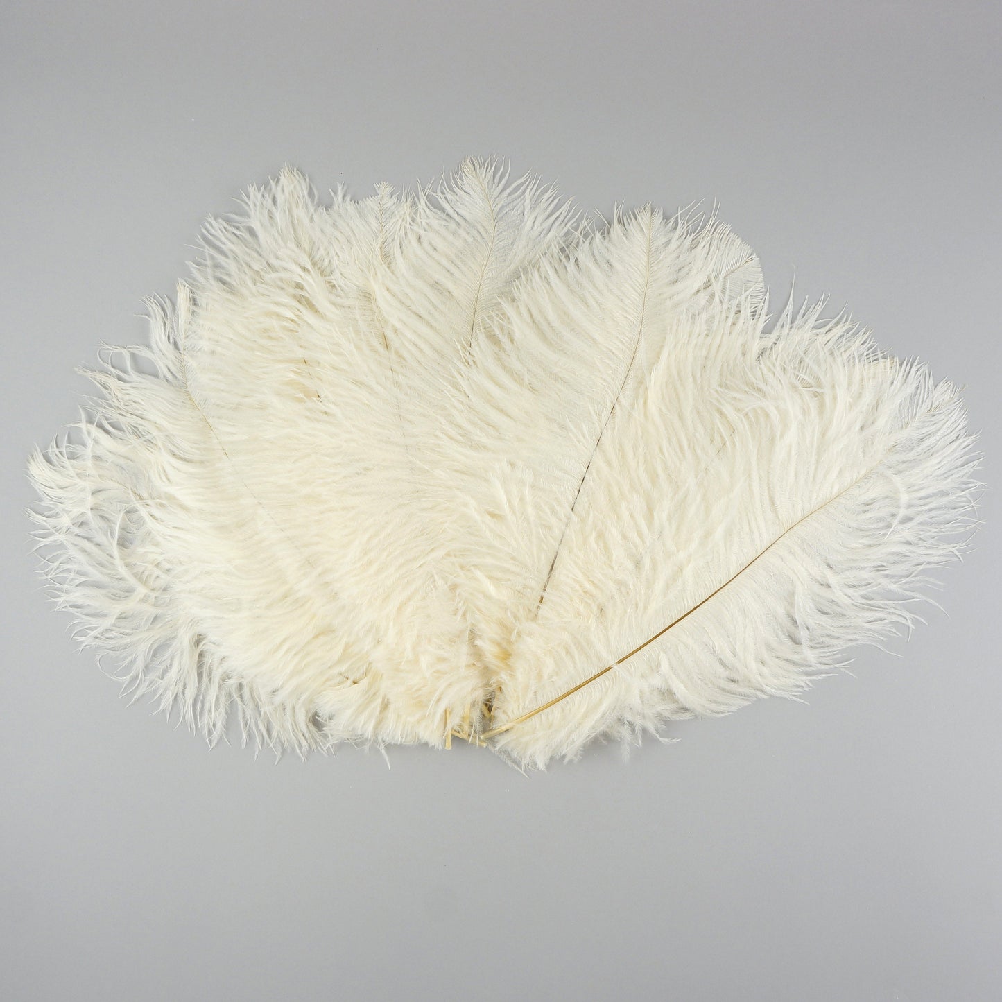 Ostrich Feathers 9-12’’ Drabs - Ivory - 1/4 lb. bulk - Ostrich Feathers