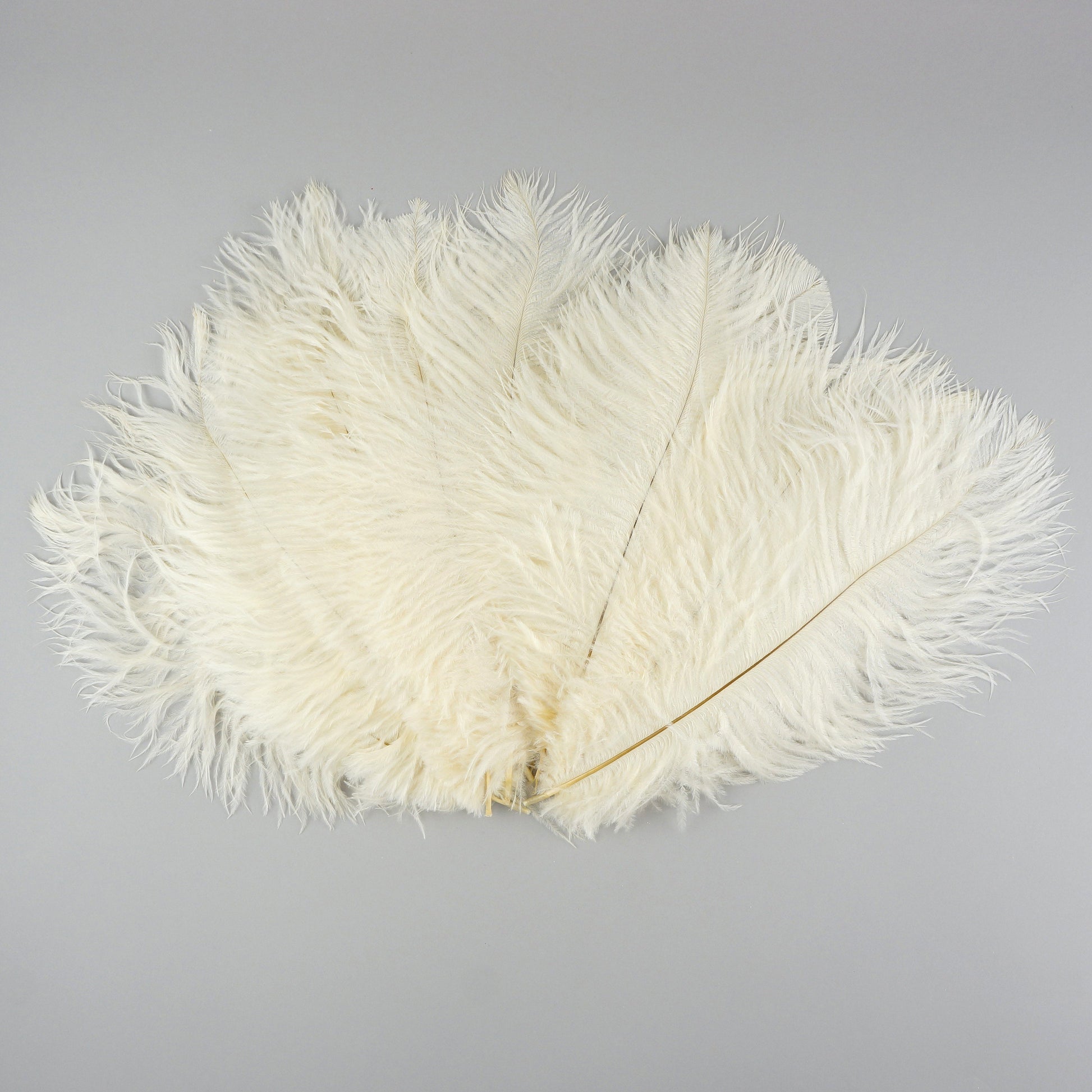 Ostrich Feathers 9-12’’ Drabs - Ivory - 1/4 lb. bulk - Ostrich Feathers