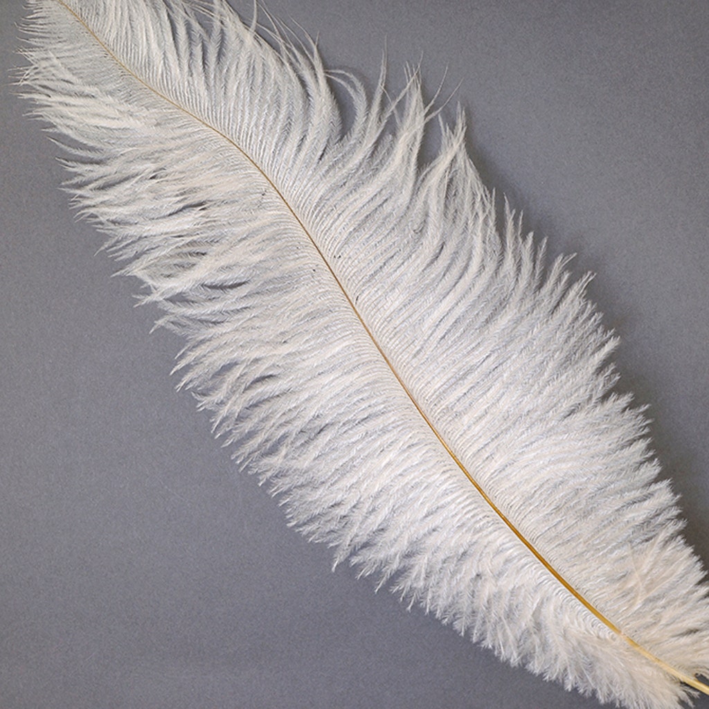 Ostrich Feathers 9-12’’ Drabs - Ivory - 1 piece - Ostrich Feathers