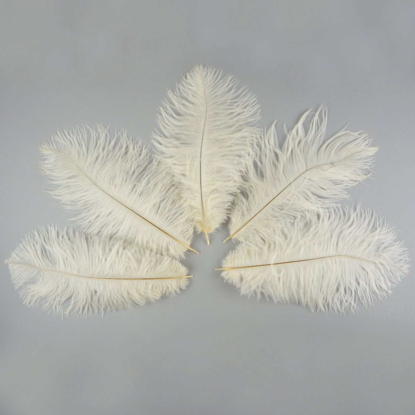 Ostrich Feathers 9-12’’ Drabs - Ivory - 12 pieces - Ostrich Feathers