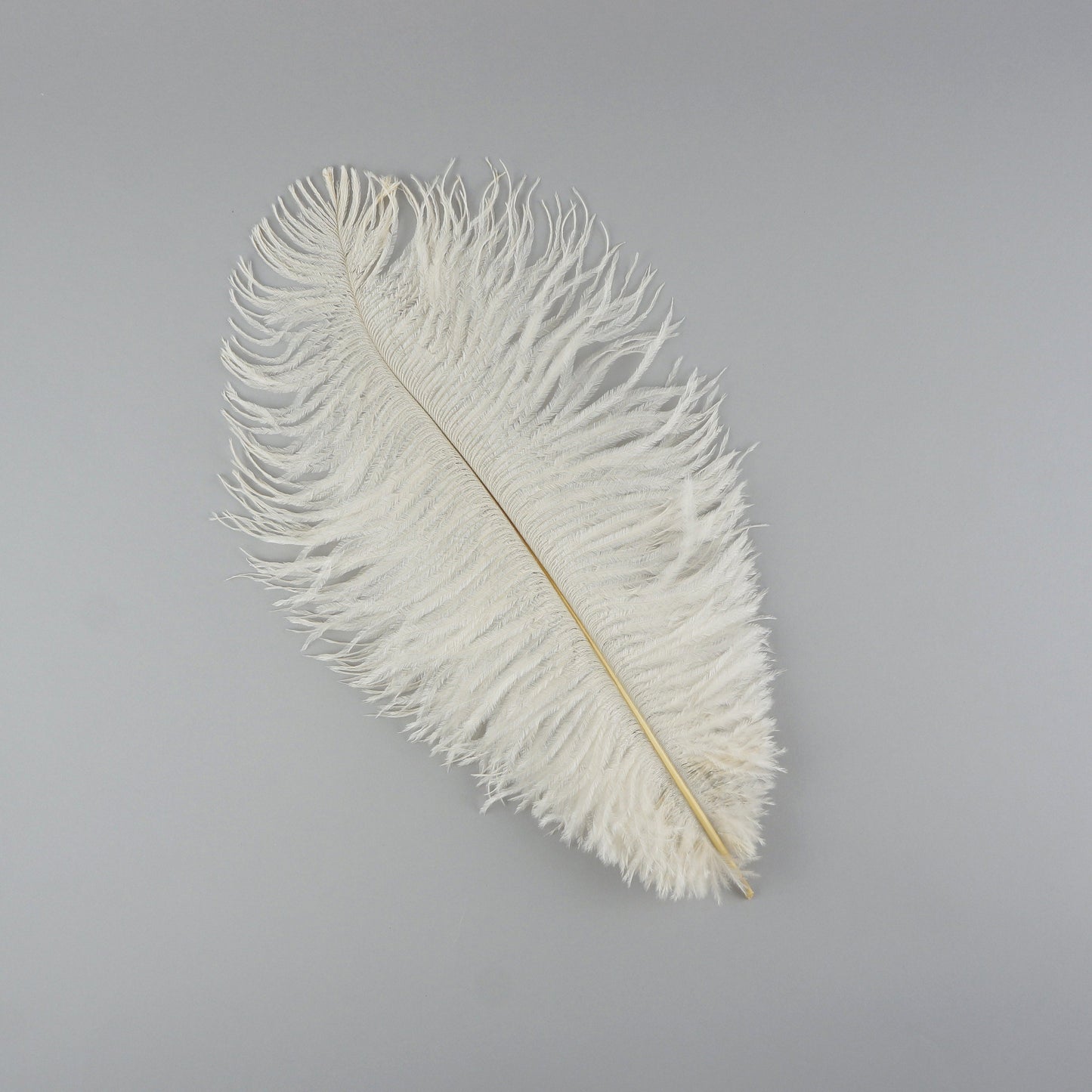 Ostrich Feathers 9-12’’ Drabs - Ivory - Ostrich Feathers