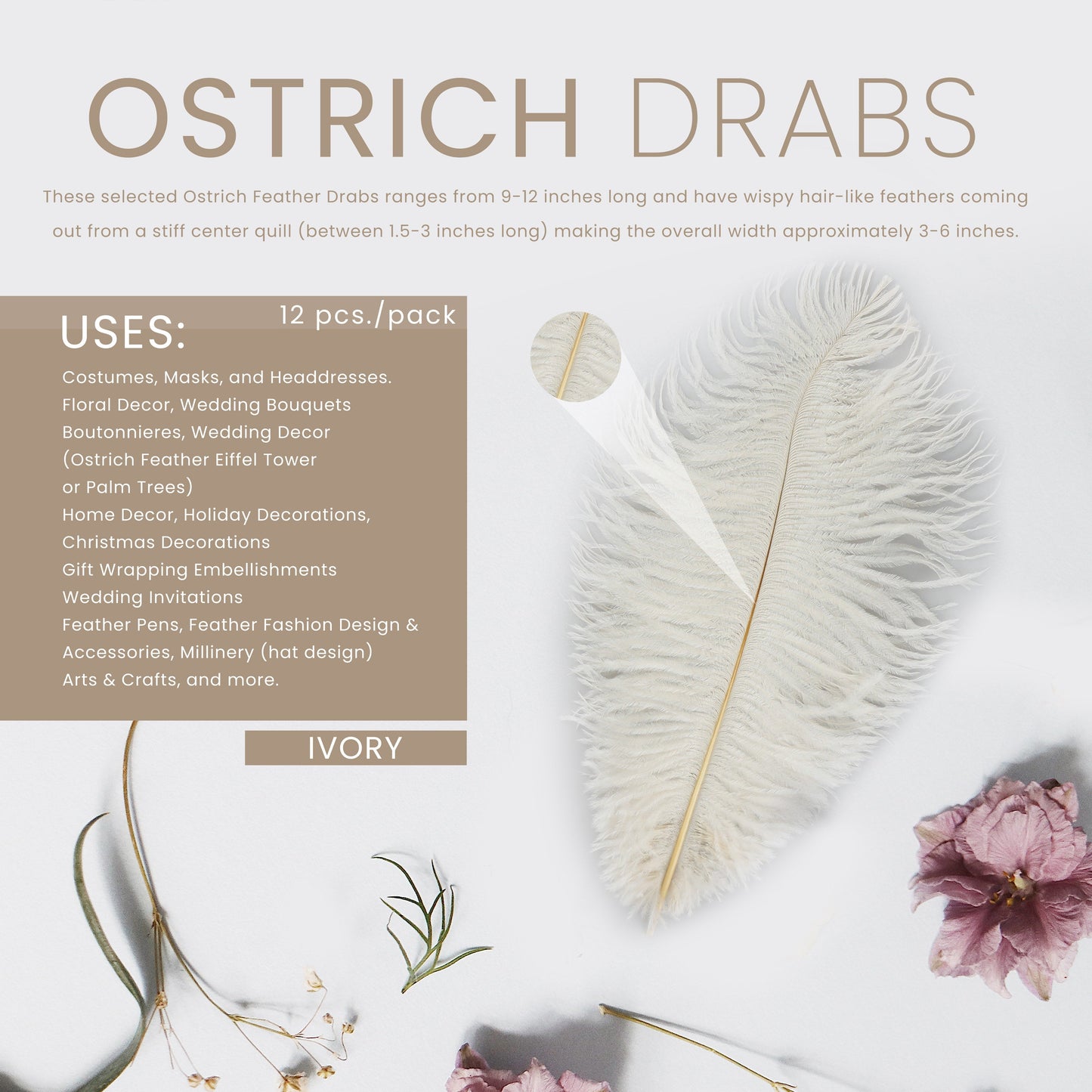 Ostrich Feathers 9-12’’ Drabs - Ivory - Ostrich Feathers