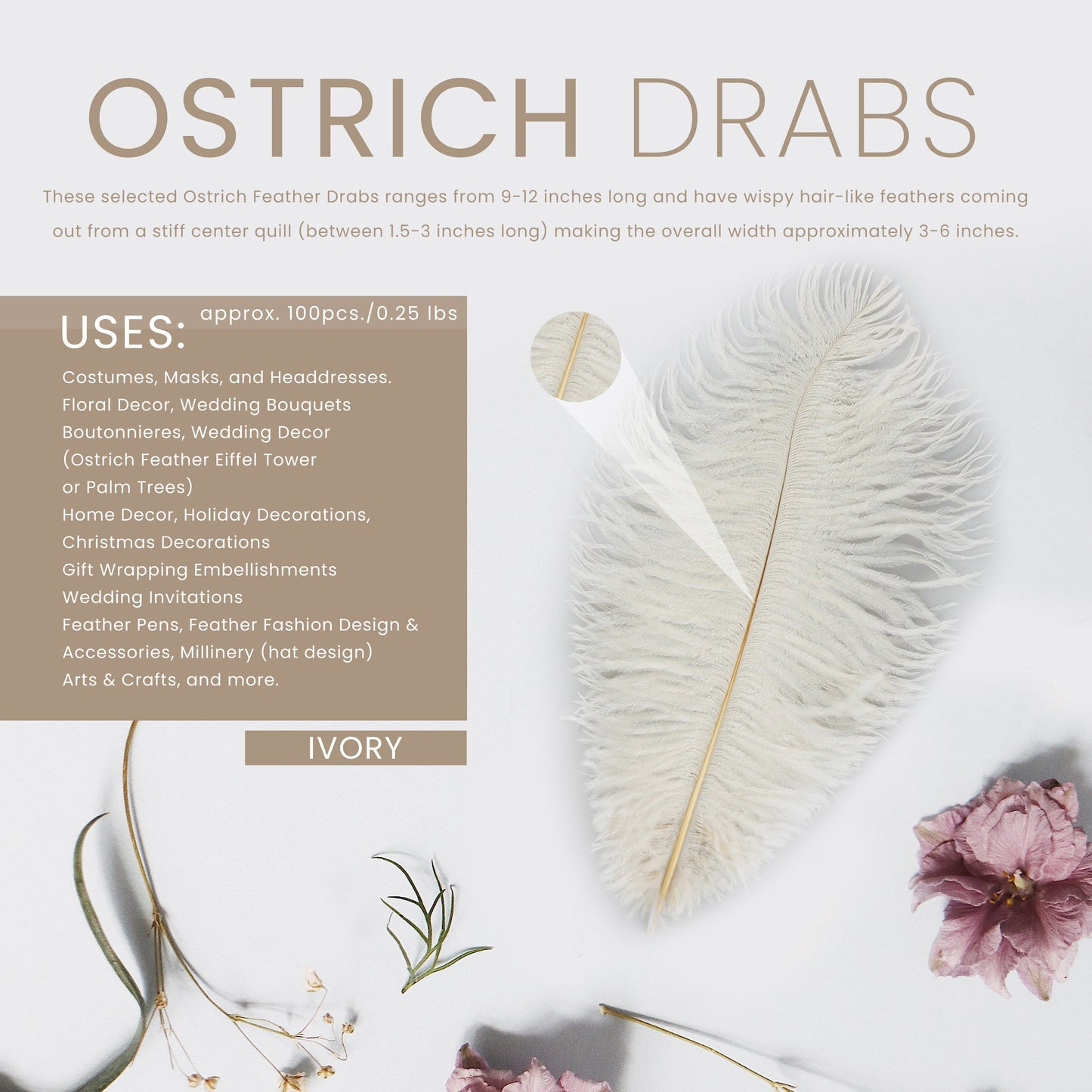 Ostrich Feathers 9-12’’ Drabs - Ivory - Ostrich Feathers