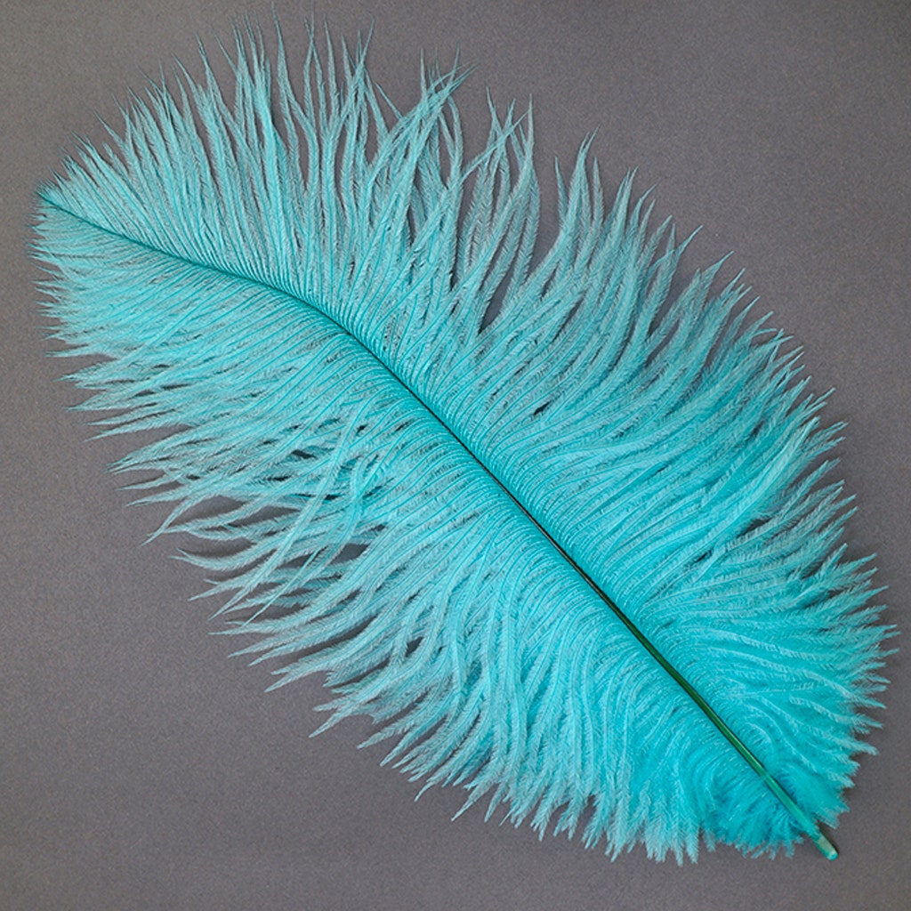 Ostrich Feathers 9-12’’ Drabs - Light Turquoise - 1 piece - Ostrich Feathers