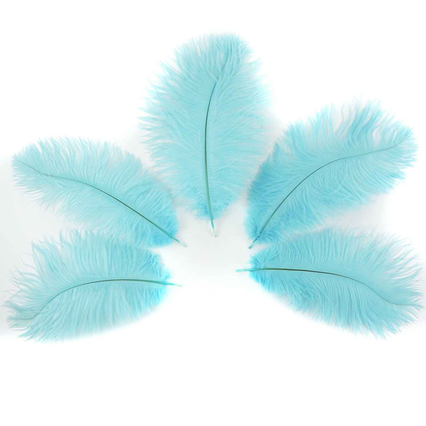 Ostrich Feathers 9-12’’ Drabs - Light Turquoise - 12 pieces - Ostrich Feathers