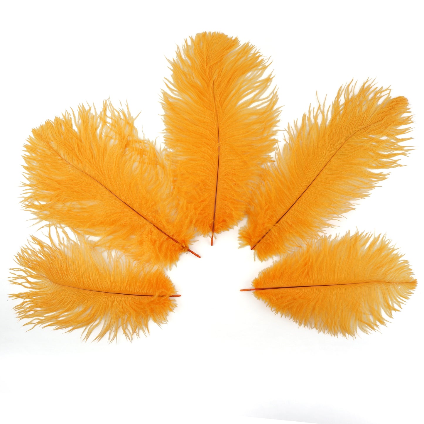 Ostrich Feathers 9-12’’ Drabs - Mango - 12 pieces - Ostrich Feathers