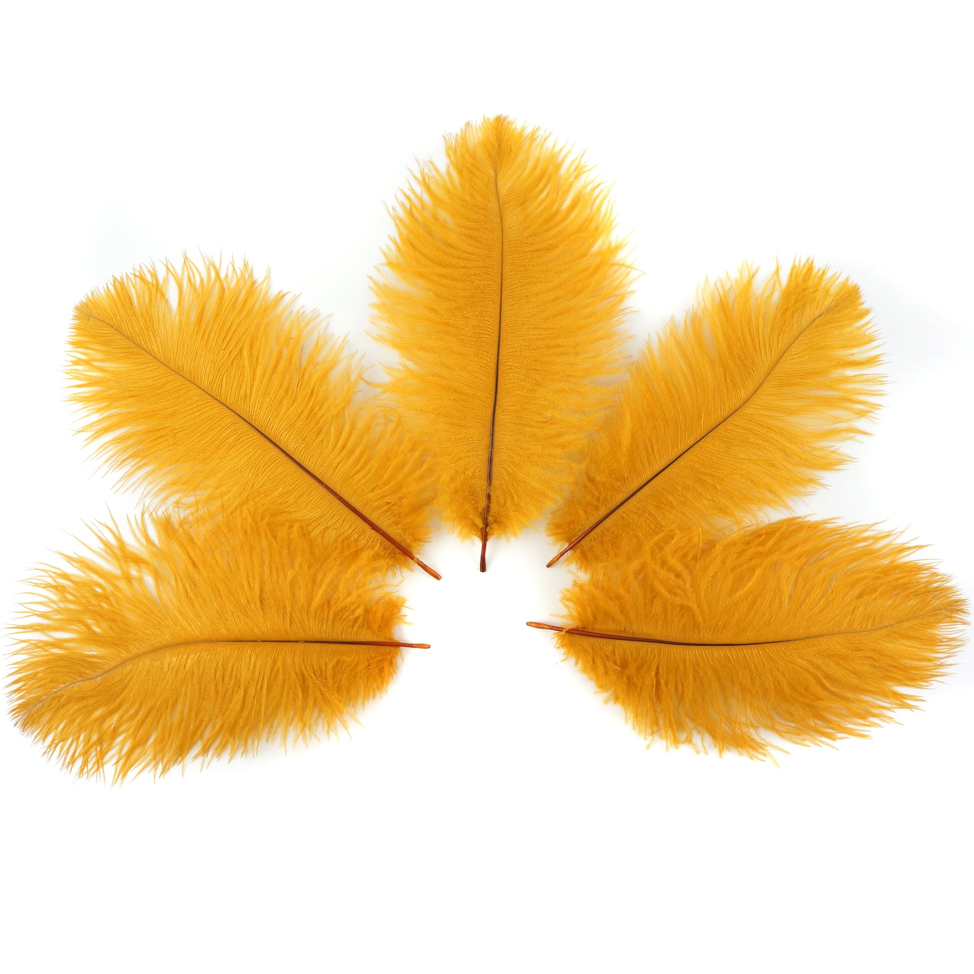 Ostrich Feathers 9-12’’ Drabs - Marigold - 12 pieces - Ostrich Feathers