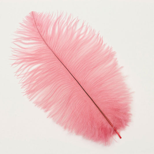 Ostrich Feathers 9-12’’ Drabs - Met Gala Potpourri - Ostrich Feathers