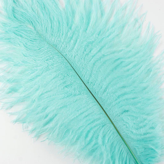 Ostrich Feathers 9-12’’ Drabs - Mint - 1 piece - Ostrich Feathers