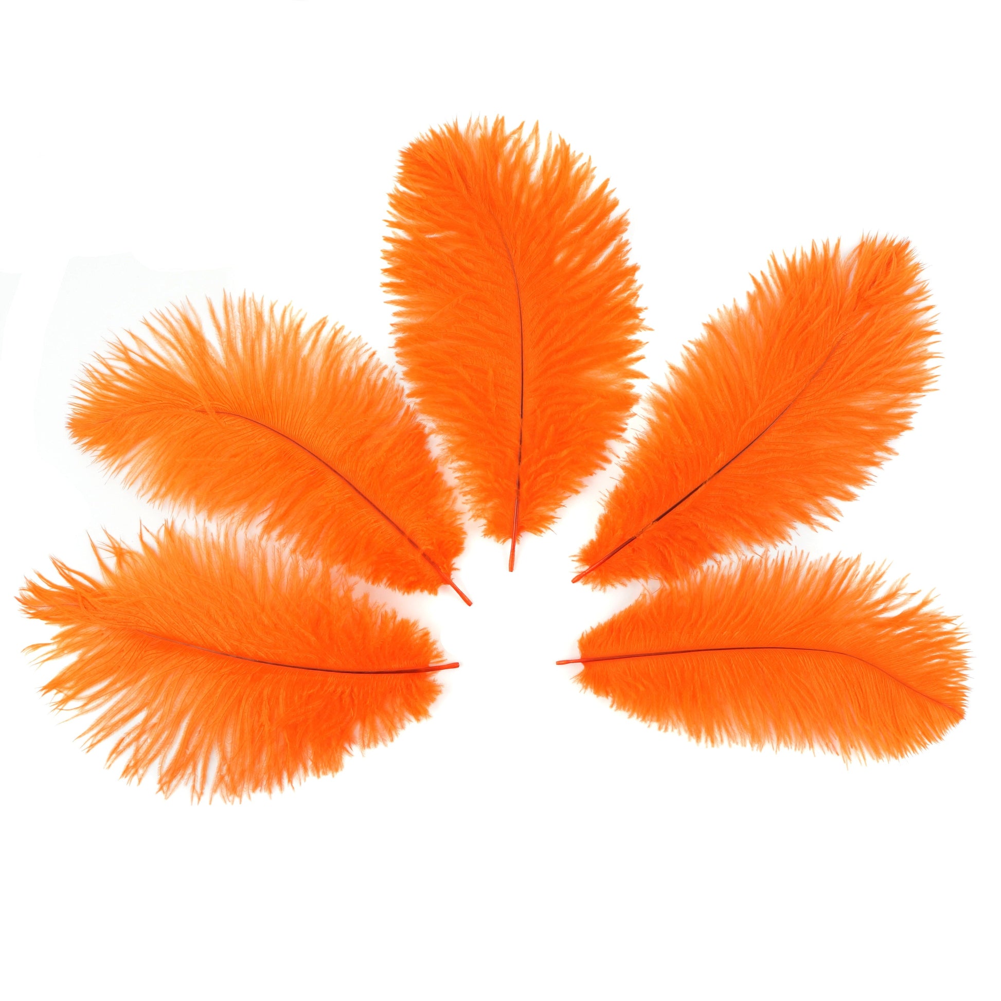 Ostrich Feathers 9-12’’ Drabs - Orange - 12 pieces - Ostrich Feathers