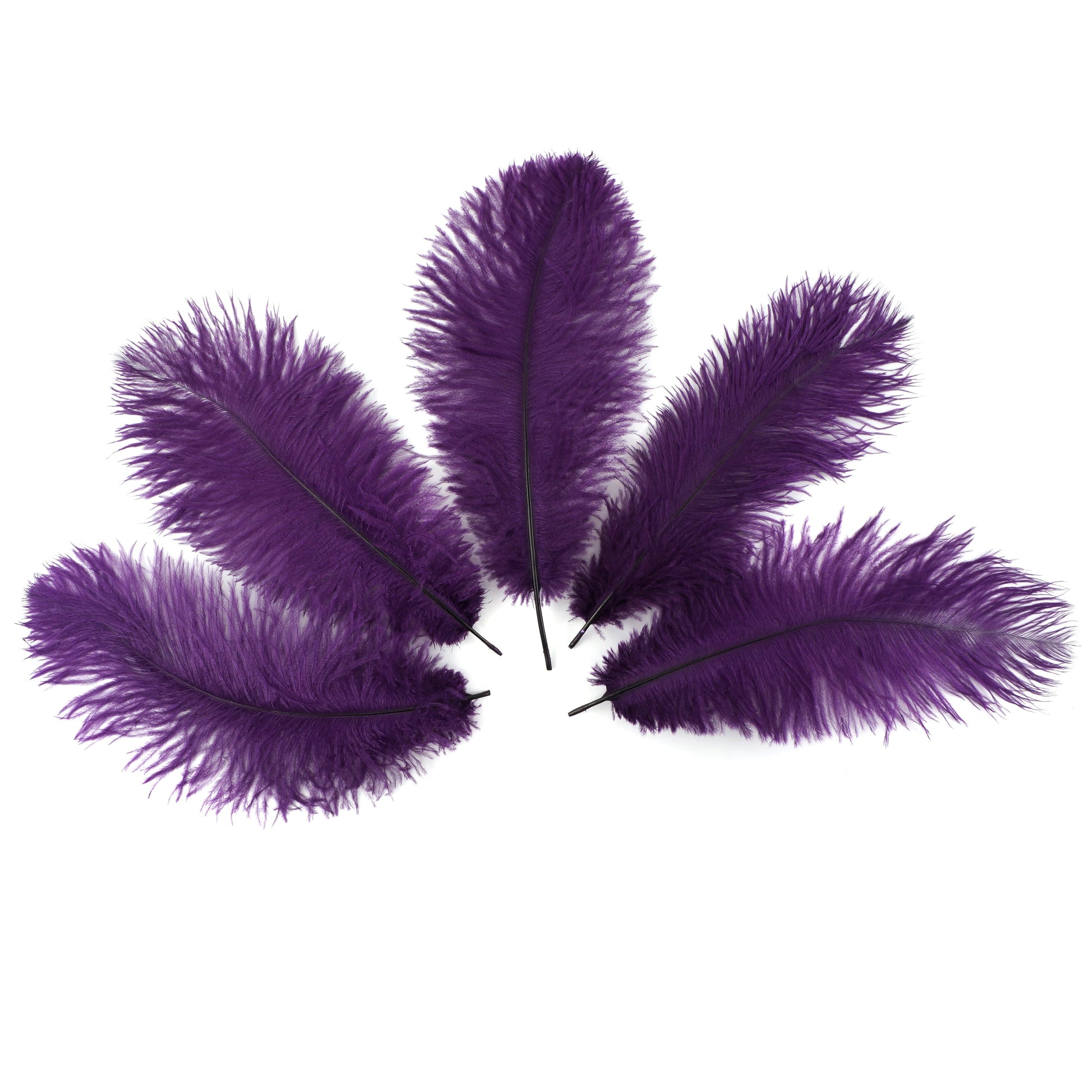 Ostrich Feathers 9-12’’ Drabs - Purple - 12 pieces - Ostrich Feathers