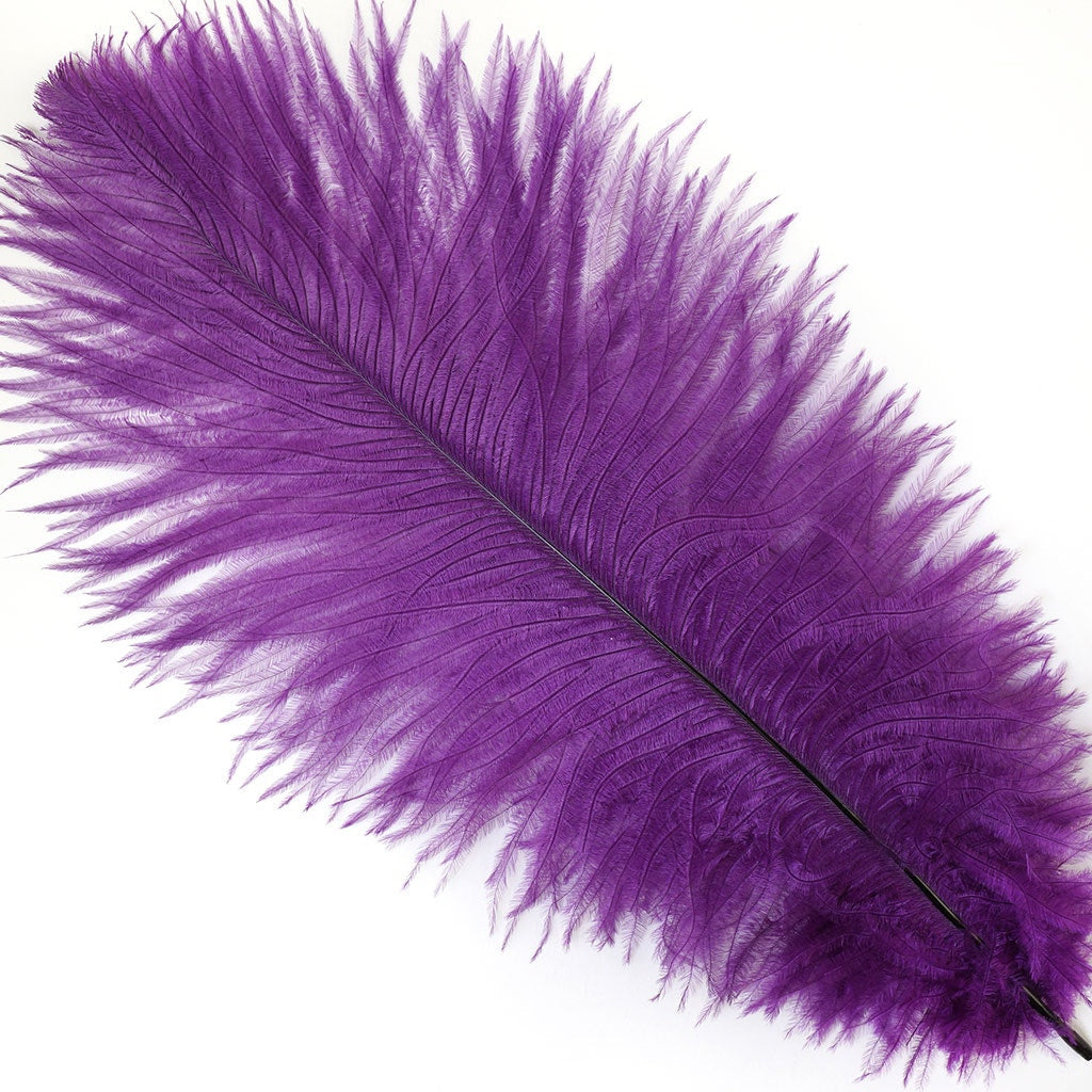 Ostrich Feathers 9-12’’ Drabs - Purple - Ostrich Feathers