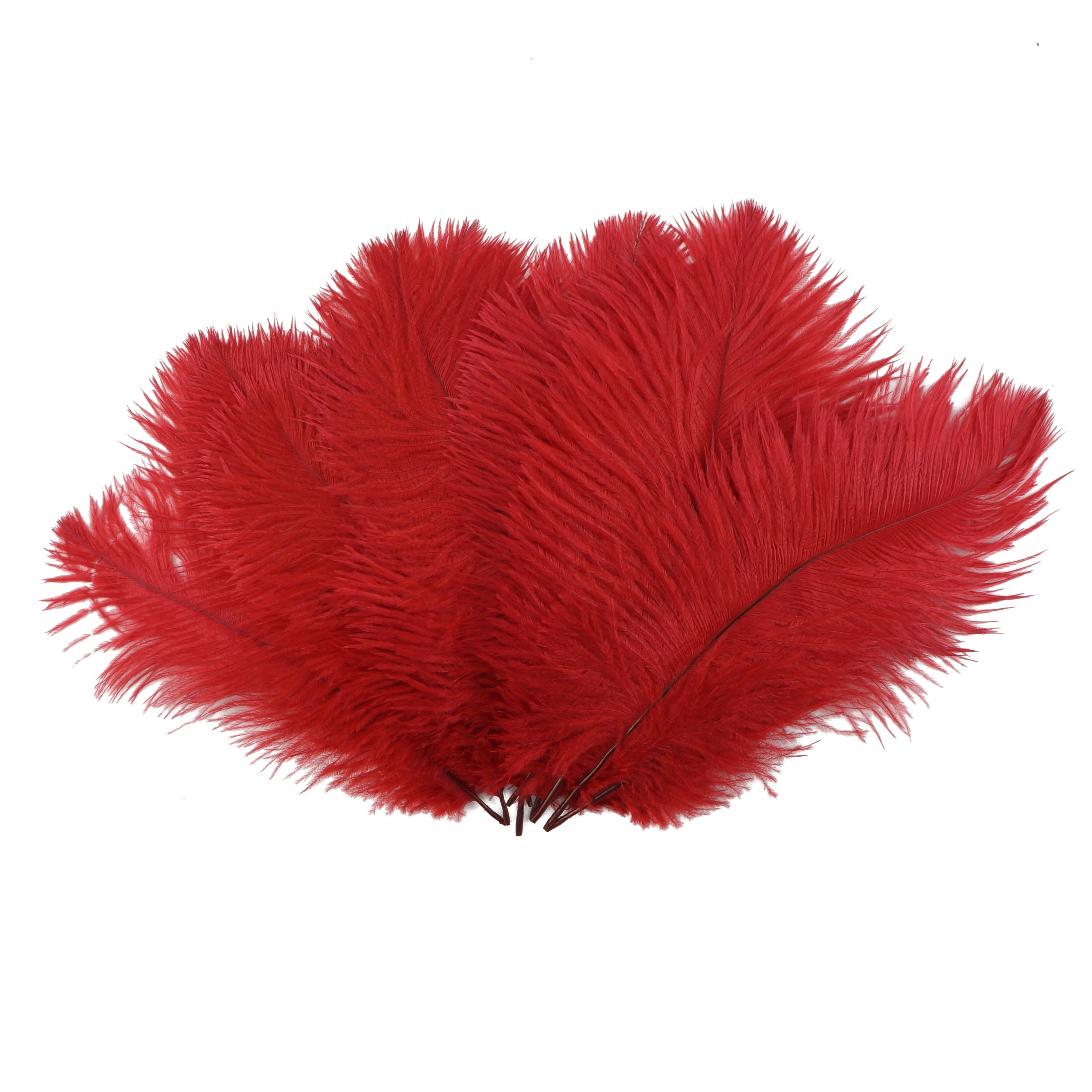 BULK 100 Turquoise Ostrich Feathers, 6-8