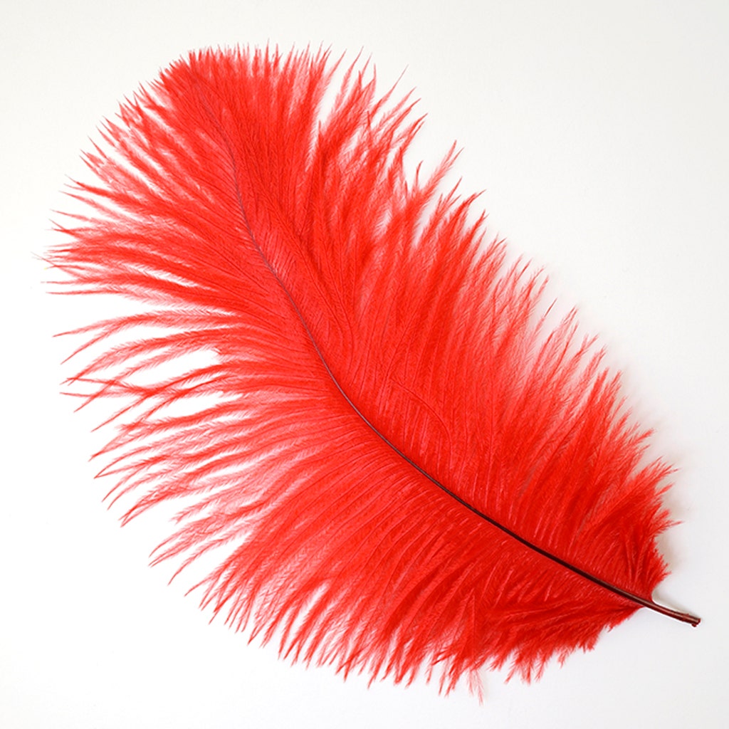 Ostrich Feathers 9-12’’ Drabs - Red - 1 piece - Ostrich Feathers