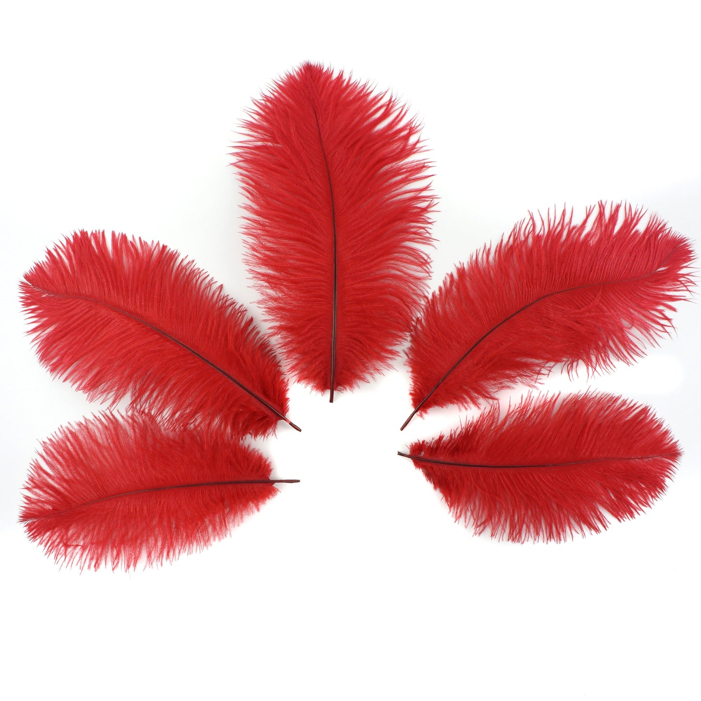 Ostrich Feathers 9-12’’ Drabs - Red - 12 pieces - Ostrich Feathers