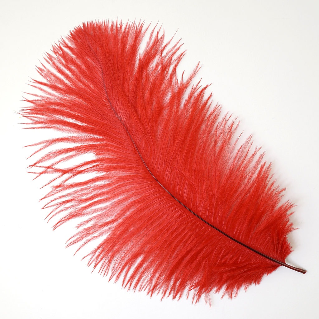 Ostrich Feathers 9-12’’ Drabs - Red - Ostrich Feathers