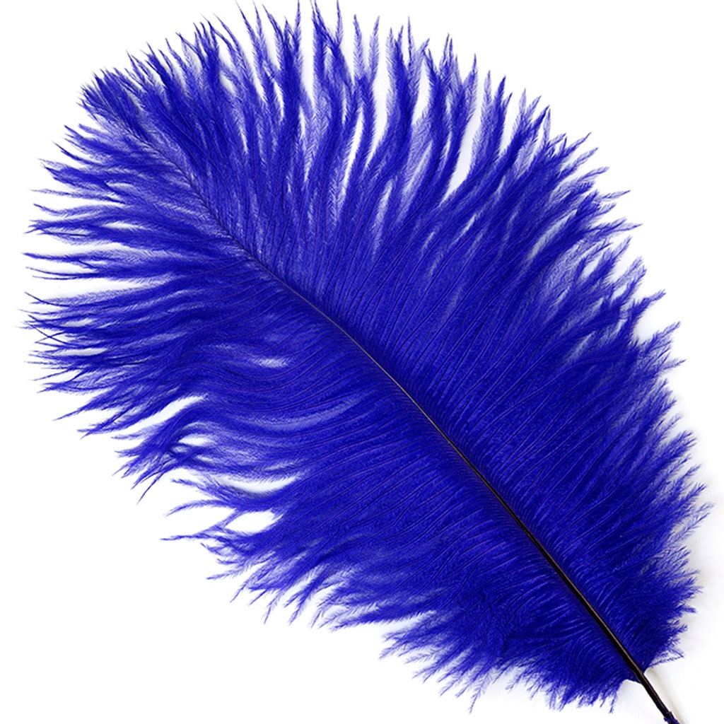 Ostrich Feathers 9-12’’ Drabs - Regal - 1 piece - Ostrich Feathers