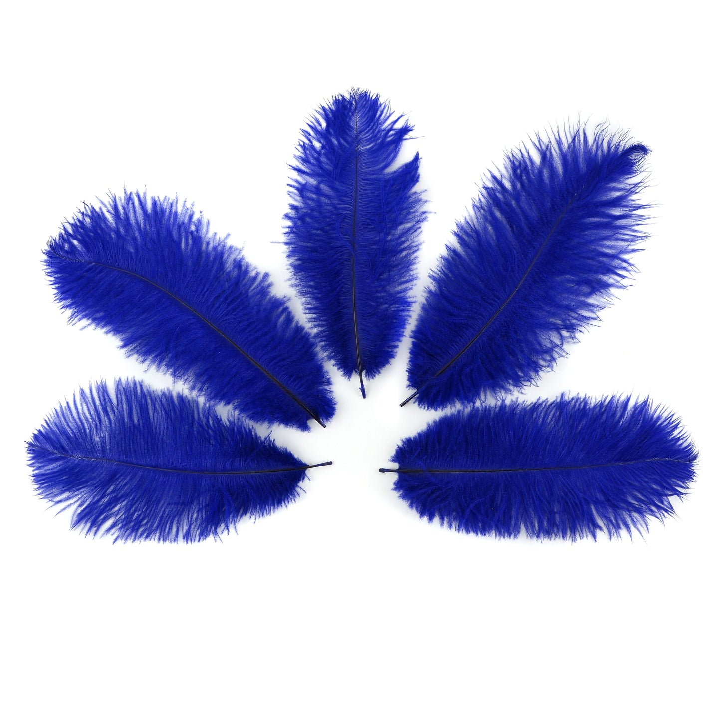 Ostrich Feathers 9-12’’ Drabs - Regal - 12 pieces - Ostrich Feathers