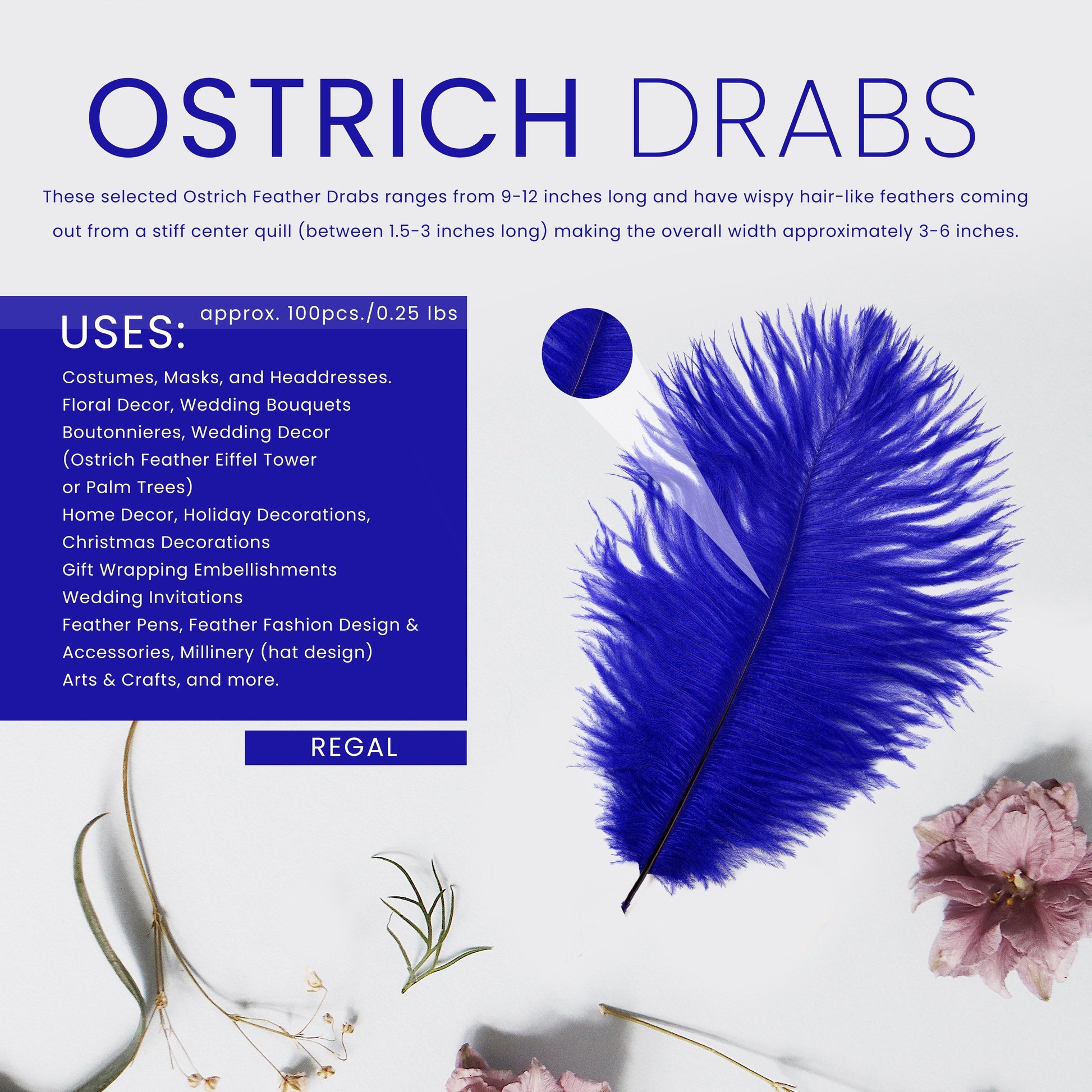 Ostrich Feathers 9-12’’ Drabs - Regal - Ostrich Feathers