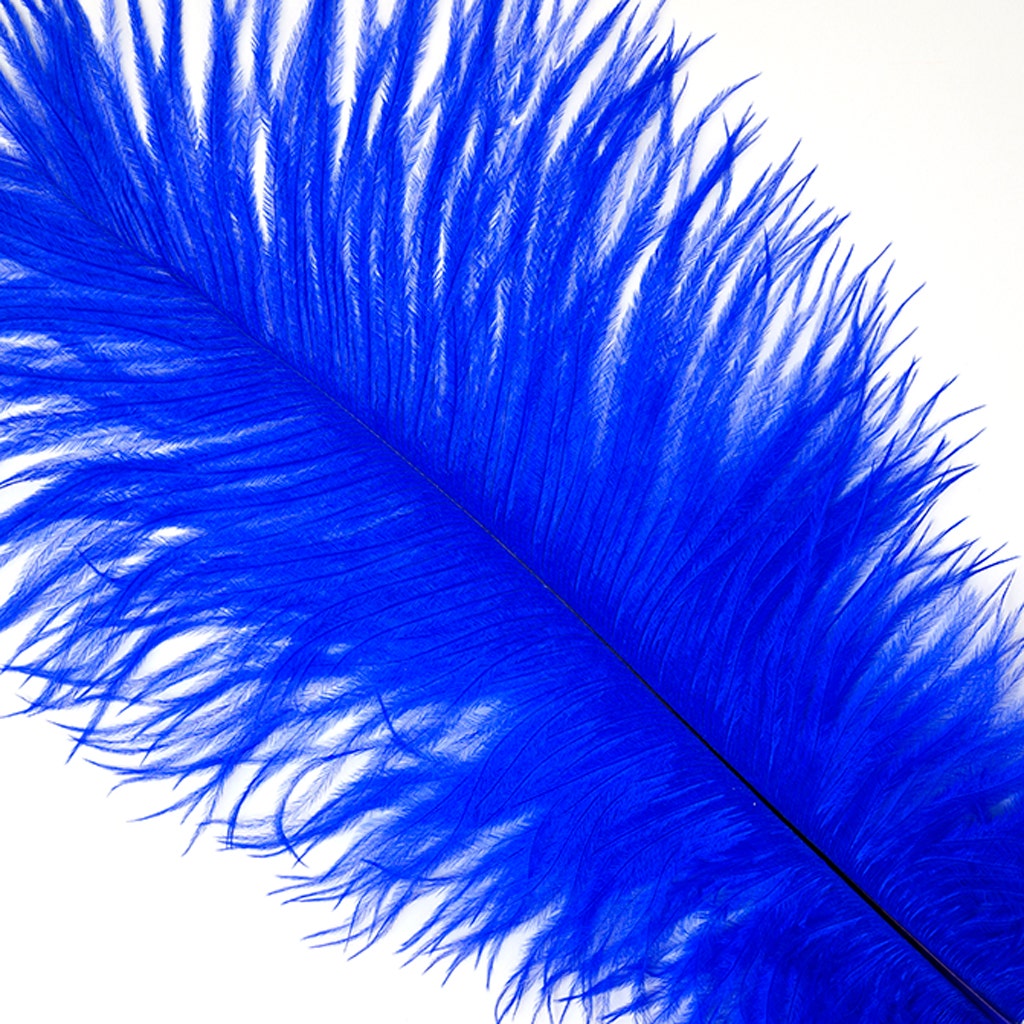 Ostrich Feathers 9-12’’ Drabs - Royal - 1 piece - Ostrich Feathers