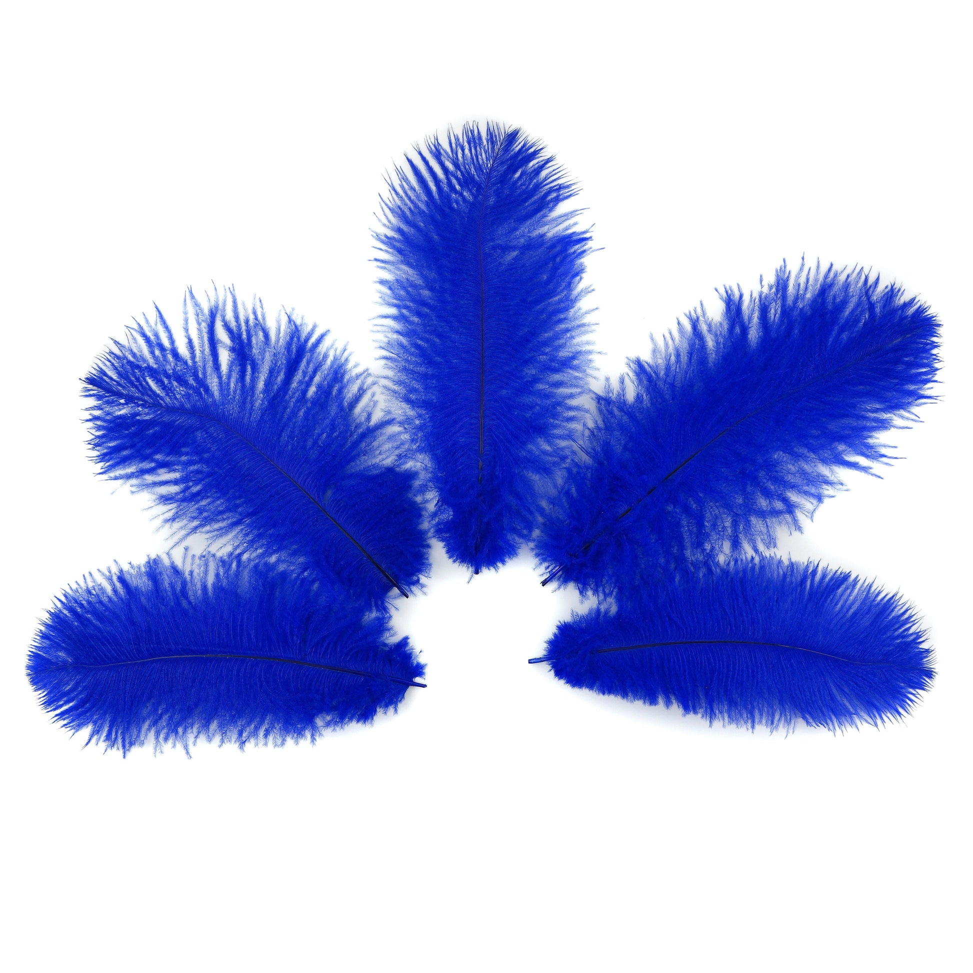 Ostrich Feathers 9-12’’ Drabs - Royal - 12 pieces - Ostrich Feathers