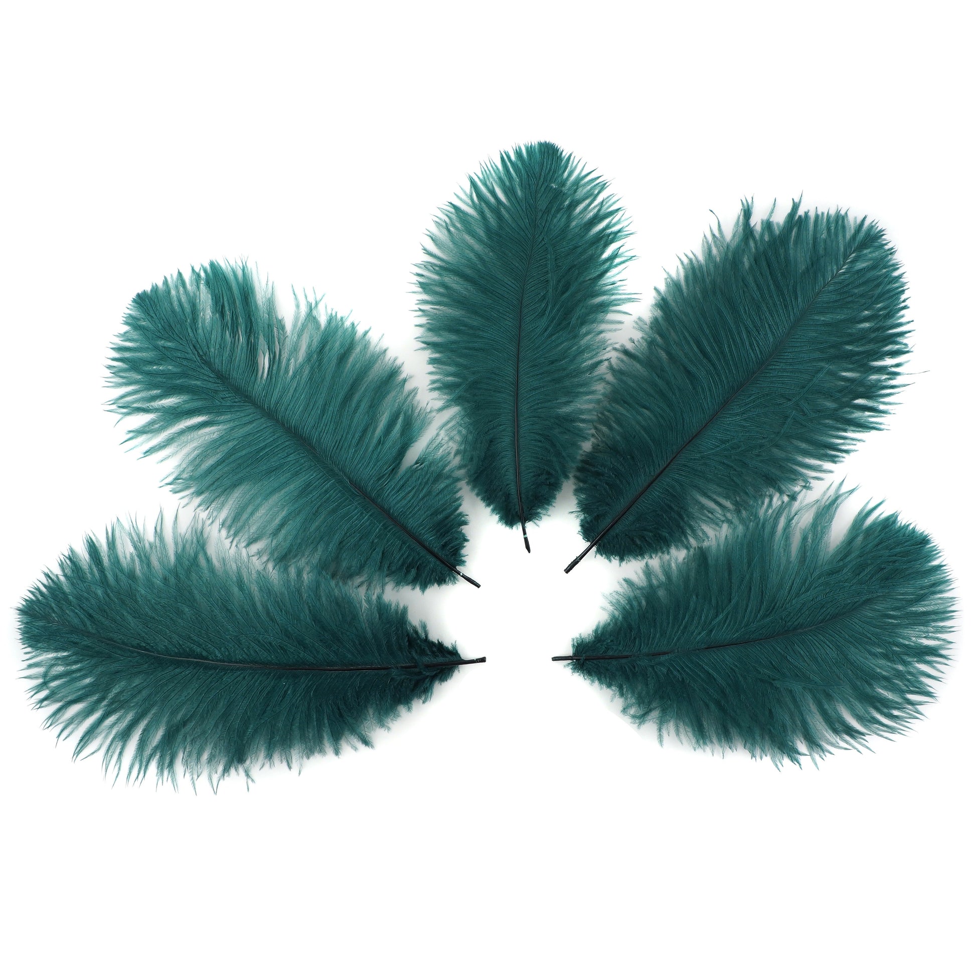 Ostrich Feathers 9-12’’ Drabs - Teal - 12 pieces - Ostrich Feathers