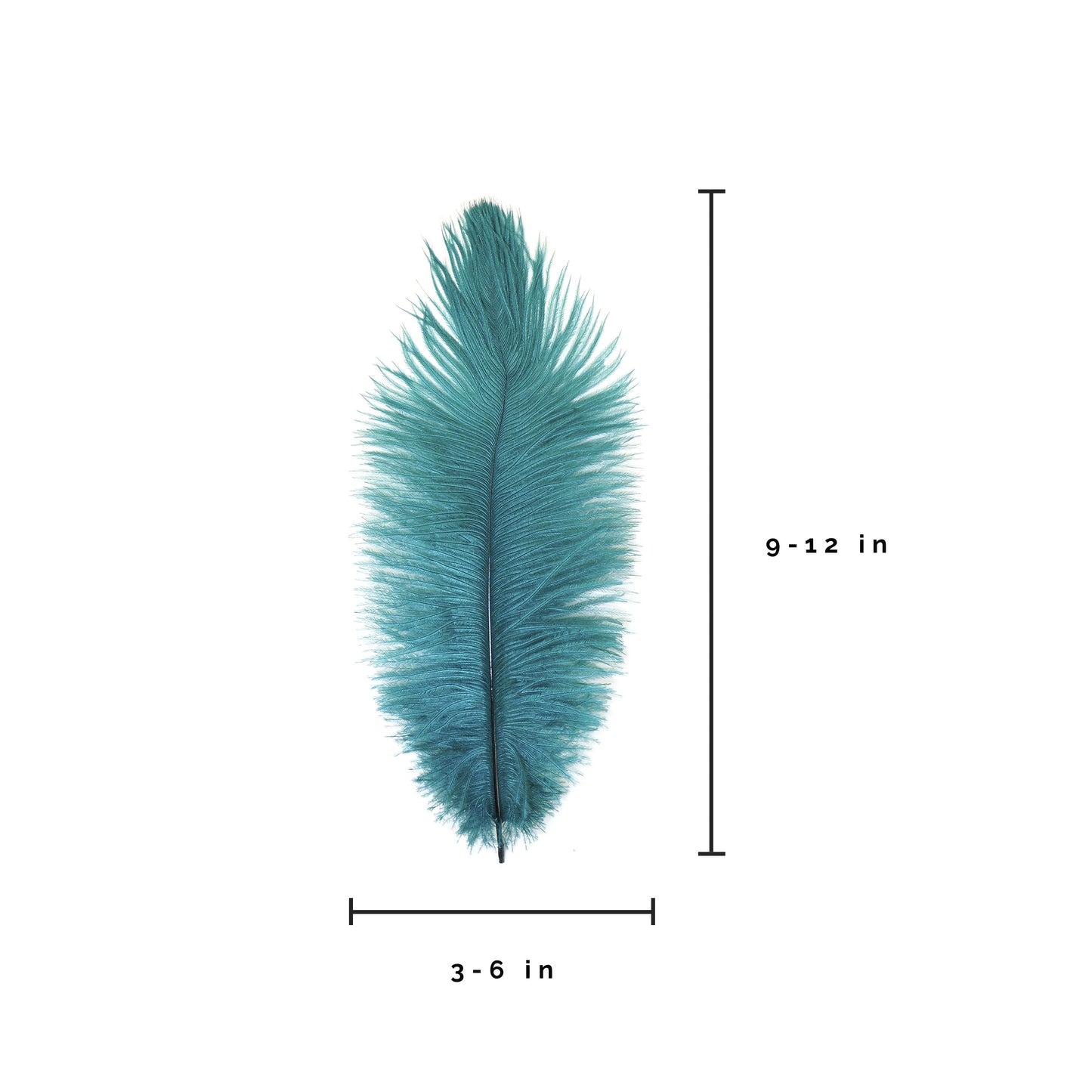 Ostrich Feathers 9-12’’ Drabs - Teal - Ostrich Feathers