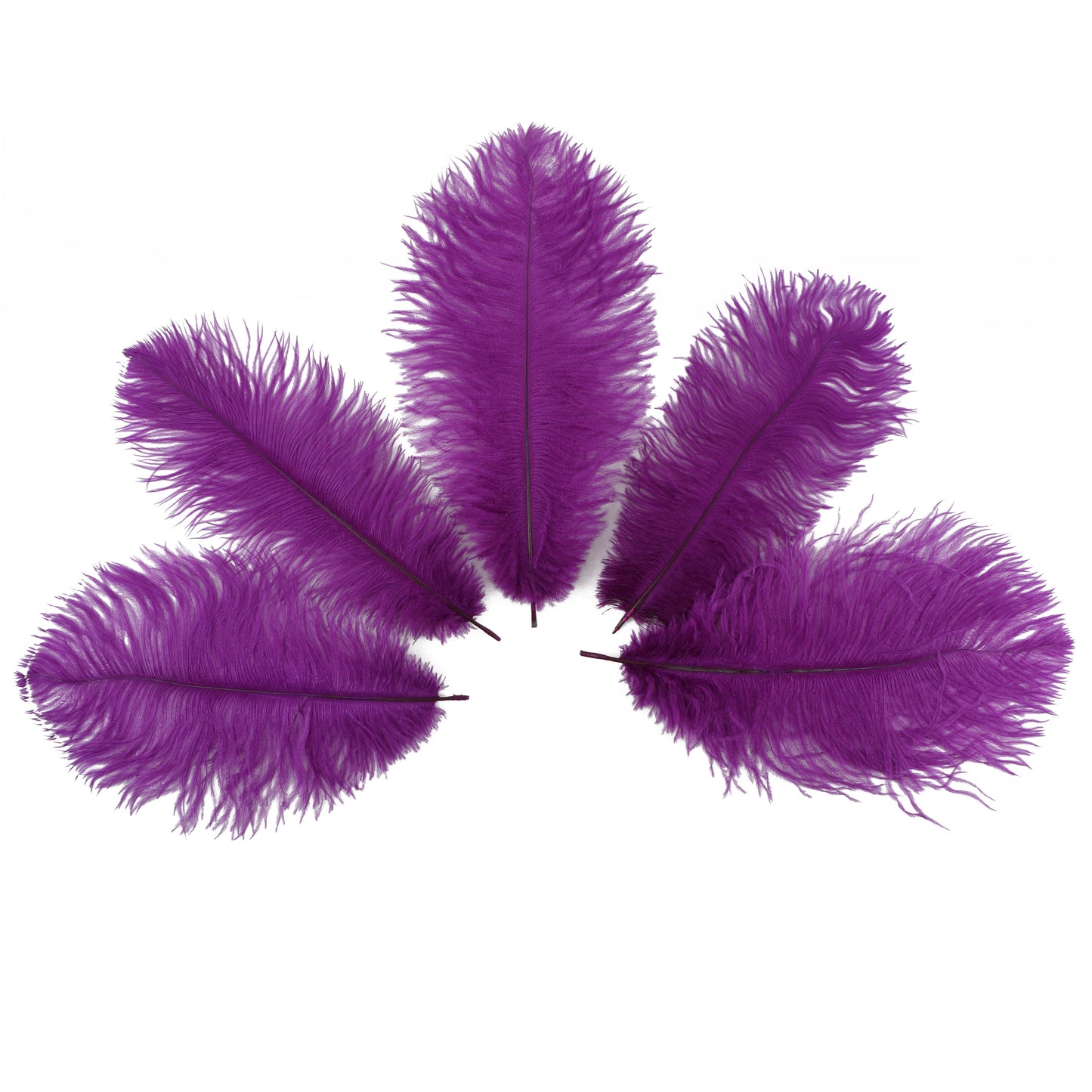 Ostrich Feathers 9-12’’ Drabs - Very Berry - 12 pieces - Ostrich Feathers