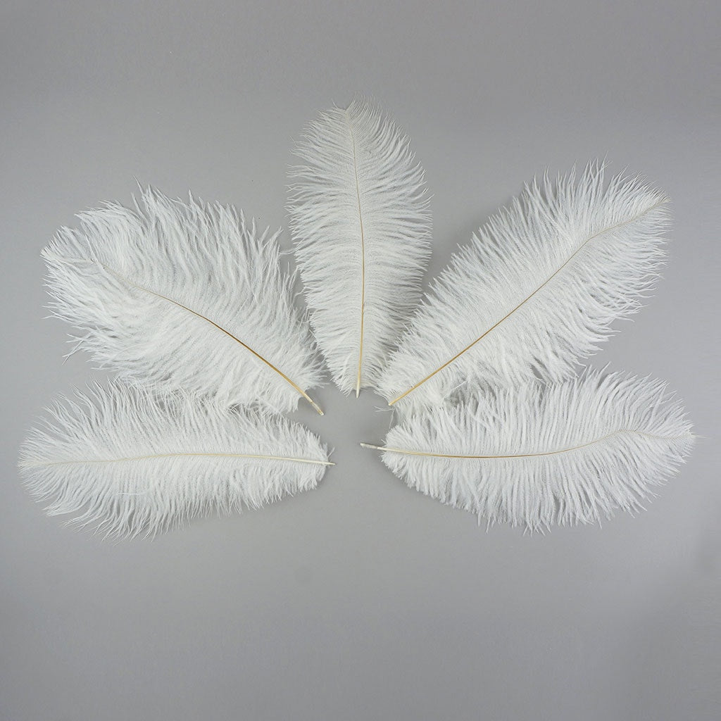 Ostrich Feathers 9-12’’ Drabs - White - 12 pieces - Ostrich Feathers