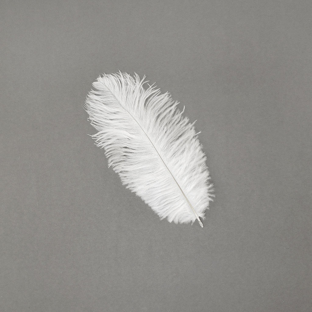 Ostrich Feathers 9-12’’ Drabs - White - Ostrich Feathers