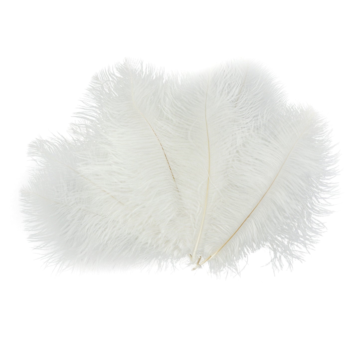 Ostrich Feathers 9-12’’ Drabs - White - Ostrich Feathers