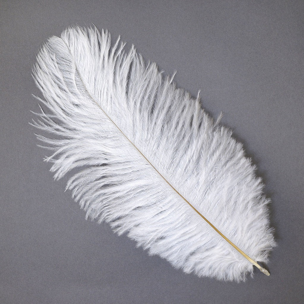 Ostrich Feathers 9-12’’ Drabs - White - Ostrich Feathers