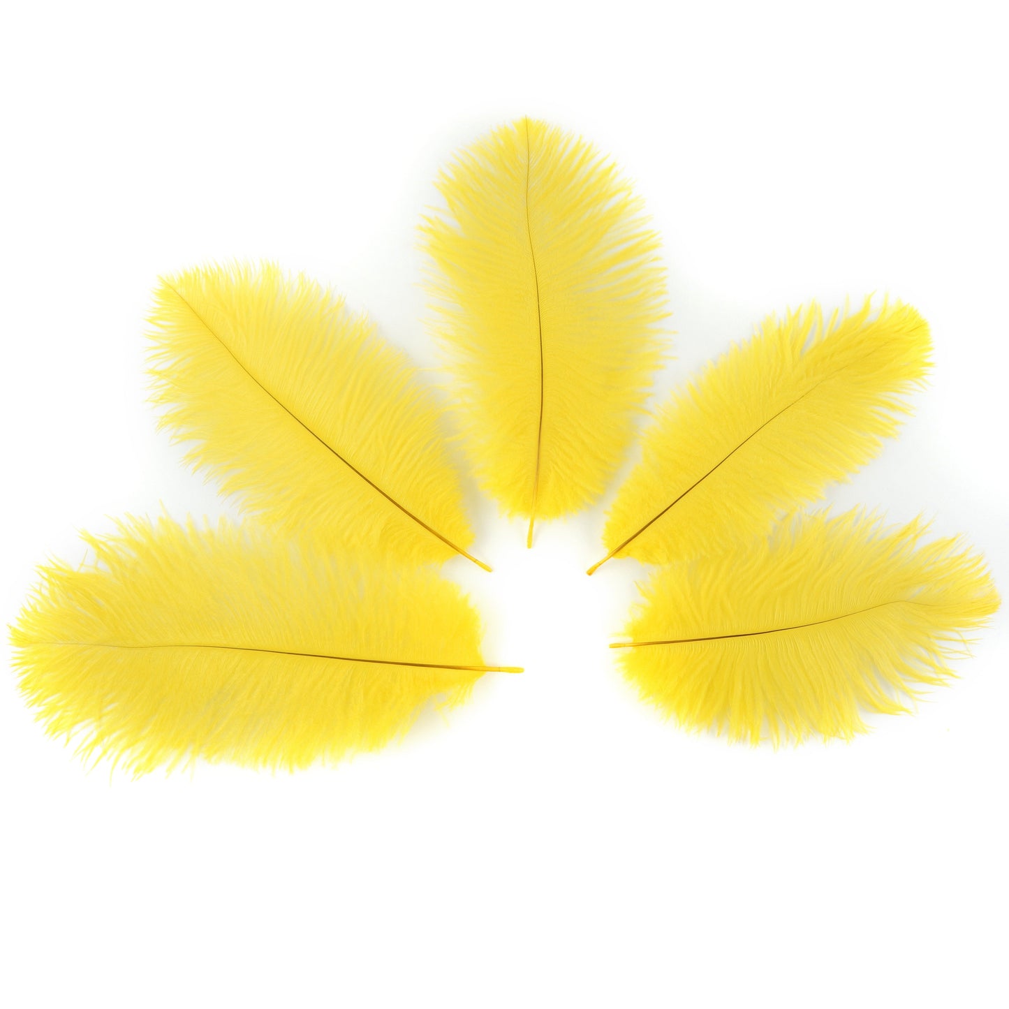 Ostrich Feathers 9-12’’ Drabs - Yellow - 12 pieces - Ostrich Feathers