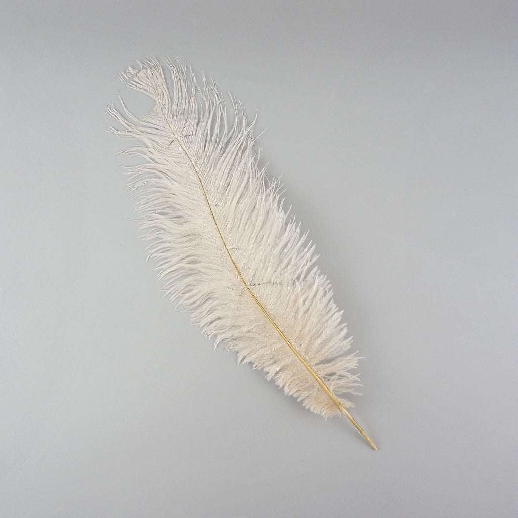 Ostrich Feathers-Damaged Drabs - Beige - Feathers