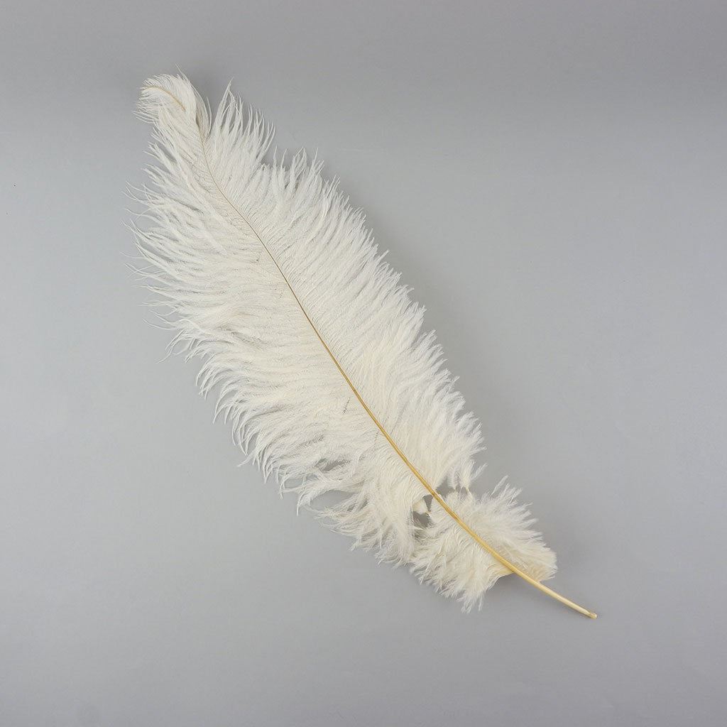 Ostrich Feathers-Damaged Drabs - Ivory - Feathers