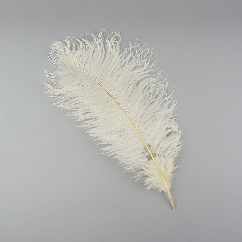 Ostrich Feathers-Damaged Drabs - Ivory - Feathers