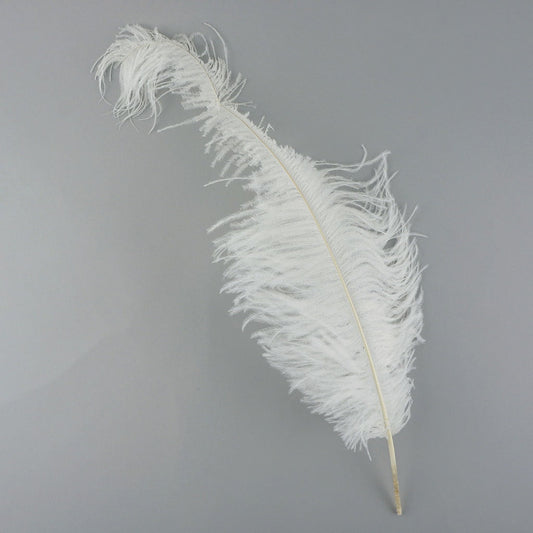 Ostrich Feathers-Damaged Drabs - White - Feathers