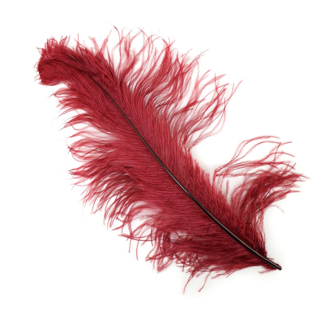 Ostrich Feathers-Damaged Femina - Burgundy - Feathers