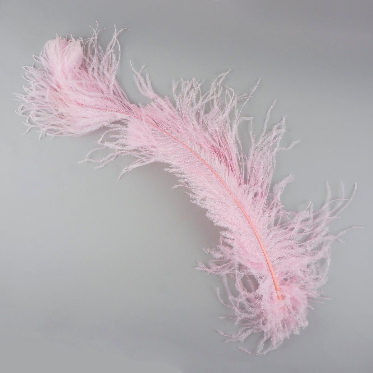 Ostrich Feathers-Damaged Femina - Candy Pink - Feathers