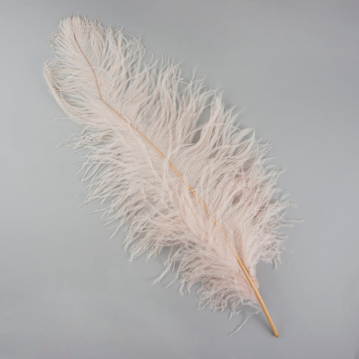 Ostrich Feathers-Damaged Femina - Champagne - Feathers